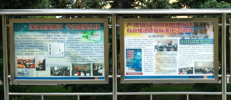 东升国际官网-追求康健,你我一起生长