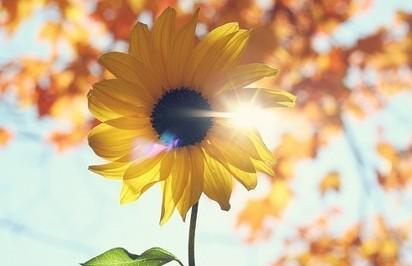 东升国际官网-追求康健,你我一起生长